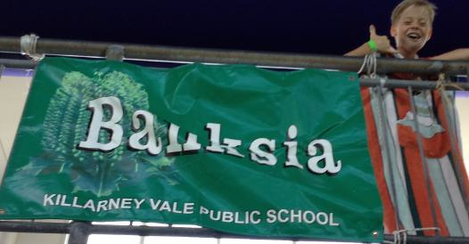 Banksia