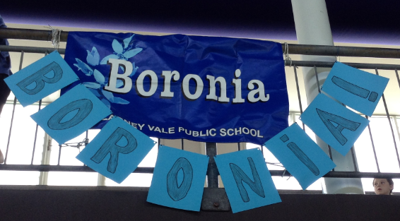 Boronia

