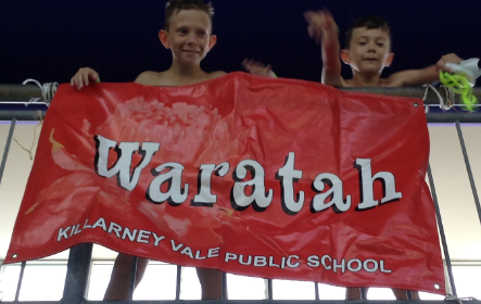 Waratah
